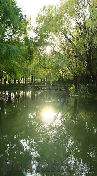 91麻豆天美视频-性感、多元的视觉盛宴——探索麻豆天美在数字时代的影像魅力