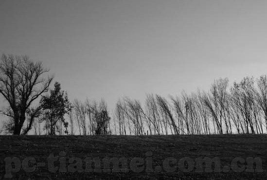成人激情视频在线观看-点燃生活火花，探索成人激情视频的适度空间