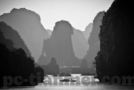 伦理故事-伦理之光，一则深刻启示的伦理故事