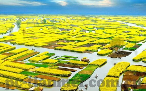 麻豆果冻传媒精品国-麻豆果冻传媒，精品国文化的创新演绎