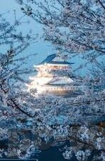 麻豆中文字幕视频-麻豆中文字幕视频，文化桥梁的构建与挑战