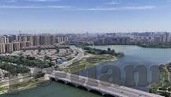 少妇无码av麻豆专区线-温柔的力量，透视现代少妇的心灵地图
