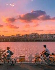 糖心vlog捅主任-糖心vlog中的那一捅引发的思考，网络现象的快速与真相的滞后