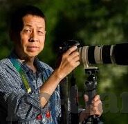 最新糖心vlog官网-最新糖心Vlog官网，揭秘现代女性生活的甜蜜瞬间